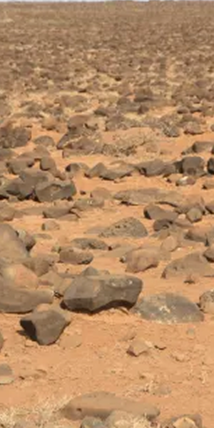 Arid landscape showing climate change effects